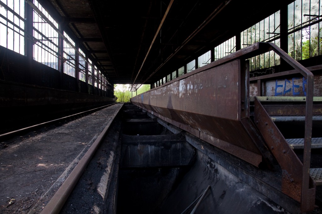 Diesing-003