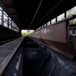 Diesing-003