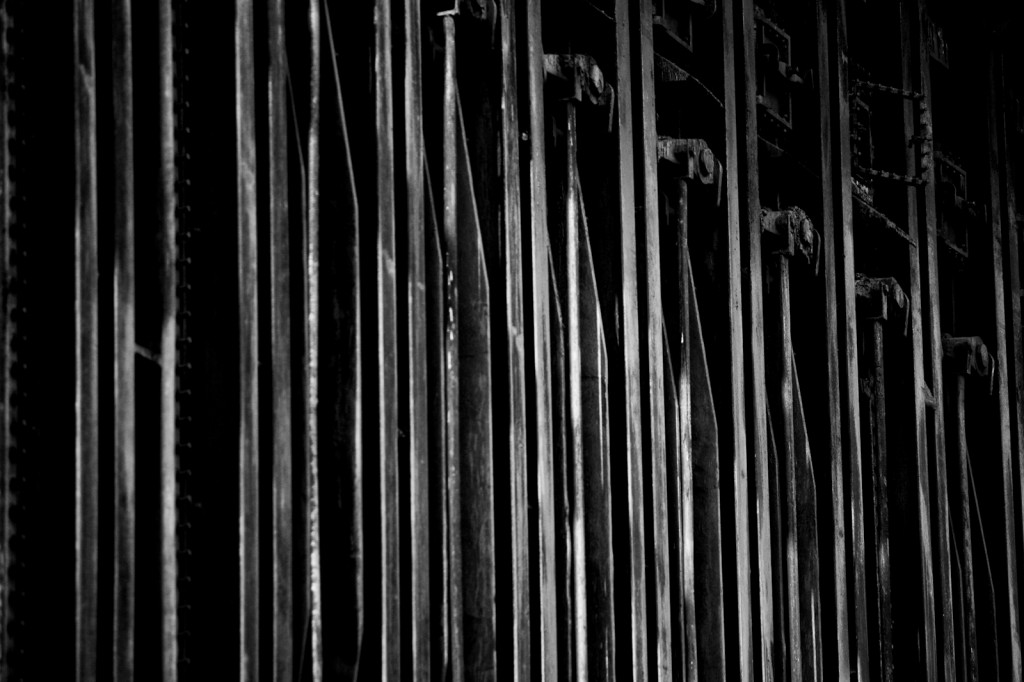 Diesing-009