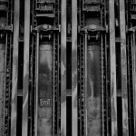 Diesing-011