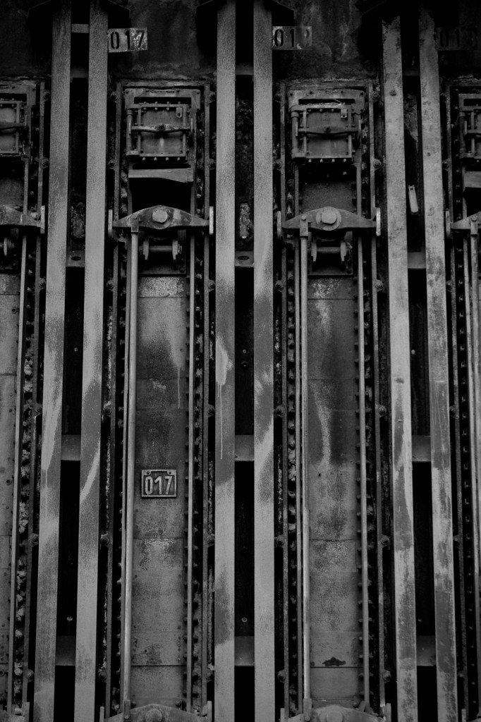 Diesing-011