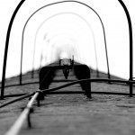Diesing-013
