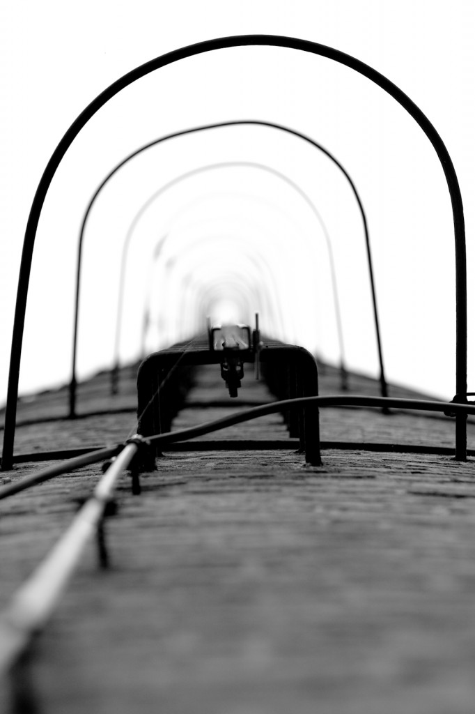 Diesing-013