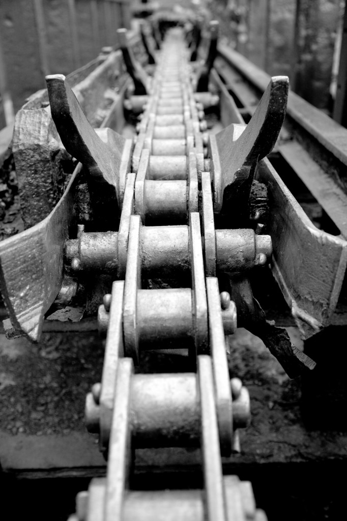 Diesing-014