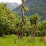 IMG_0314