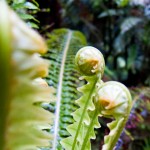 IMG_0364