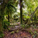 IMG_0381 IMG_0381