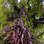 IMG_0384 IMG_0384