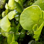 IMG_0396 IMG_0396