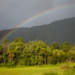 IMG_0425 IMG_0425