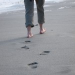 IMG_0458 IMG_0458