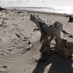 IMG_0539 IMG_0539