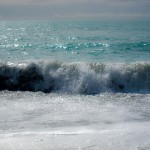 IMG_0594 IMG_0594