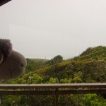 IMG_0651