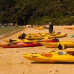 Kayaktour im Abel Tasman Parc