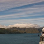 IMG_0772