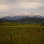 IMG_0802