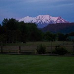 IMG_0808