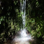 _MG_5595