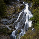 _MG_5861 _MG_5861