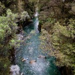 _MG_5912 _MG_5912