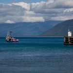_MG_5920 _MG_5920