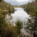 _MG_6131 _MG_6131