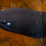 _MG_6138 _MG_6138