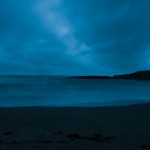 _MG_6155 _MG_6155