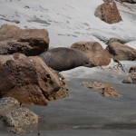 _MG_6191 _MG_6191