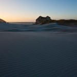 _MG_6239 _MG_6239
