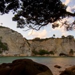 Stingray bay