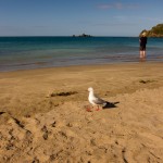 Am Strand