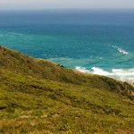 IMG_0985
