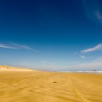IMG_1008