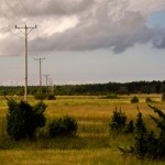 IMG_1392