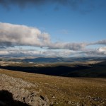 _MG_7881 _MG_7881