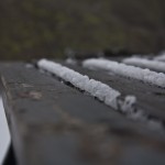 _MG_7892 _MG_7892