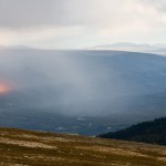 _MG_7925 _MG_7925