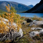 _MG_8080