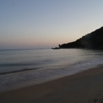 SONY DSC