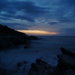 SONY DSC