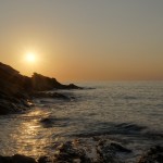 SONY DSC